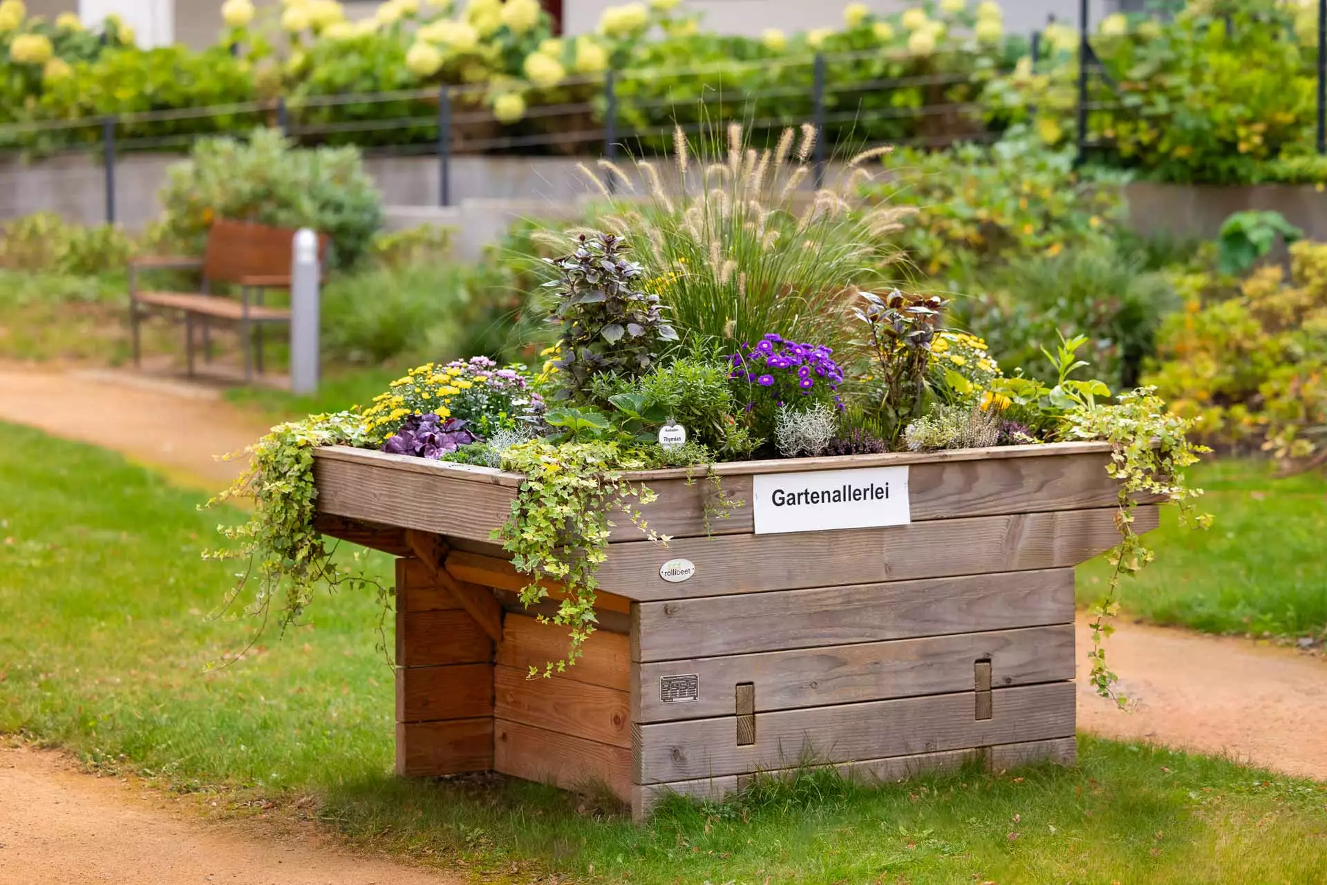 Statt Gartenallerlei würden wir auf unserem Bauernhof aus einer Zustiftung gemeinsam Gemüse anbauen. Hochbeet im Garten der Alerds Stiftung
